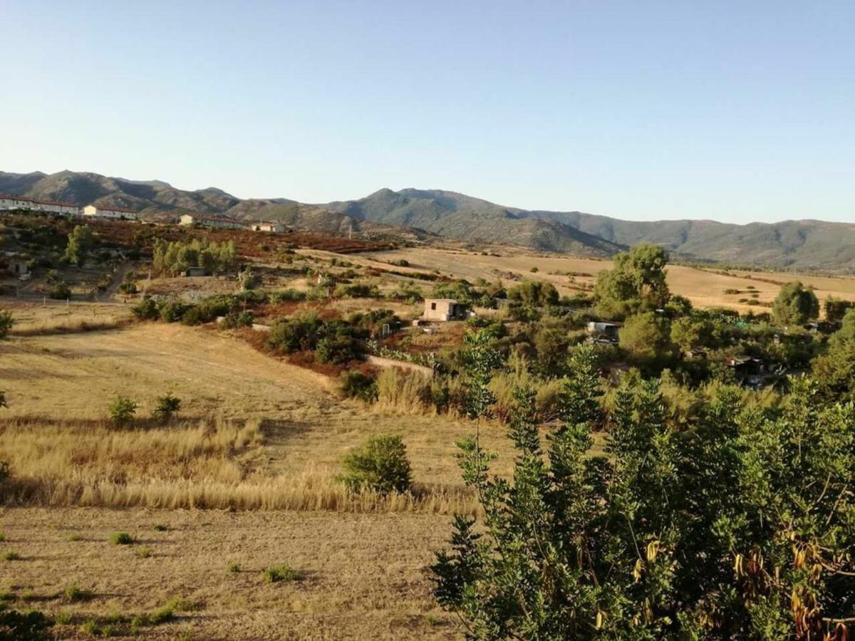 Casa Vacanza Il Mandorlo Domusnovas Buitenkant foto