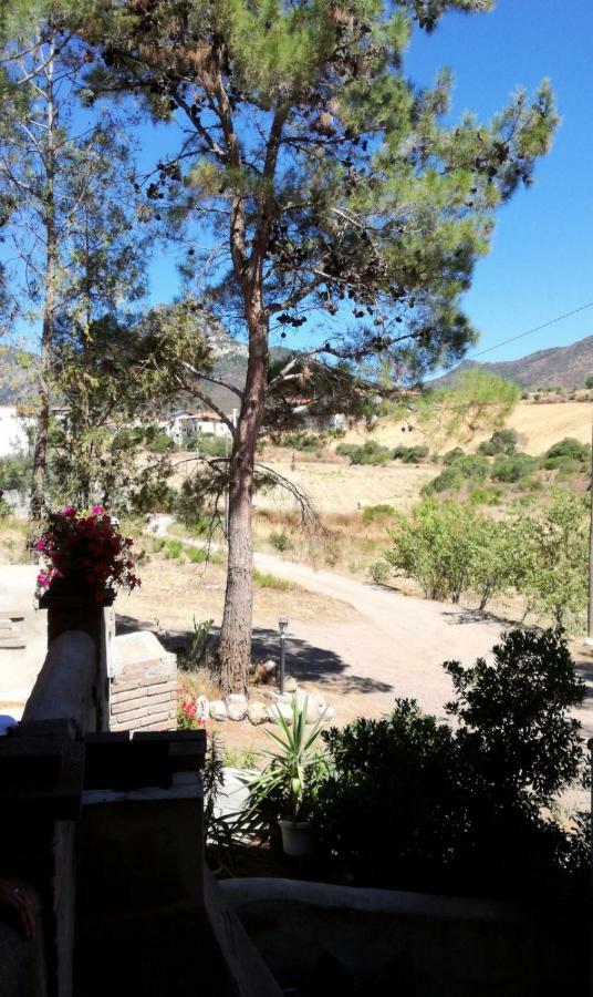 Casa Vacanza Il Mandorlo Domusnovas Buitenkant foto